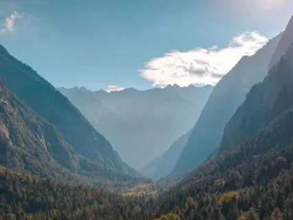 Future Self Visualization: Release & Renew