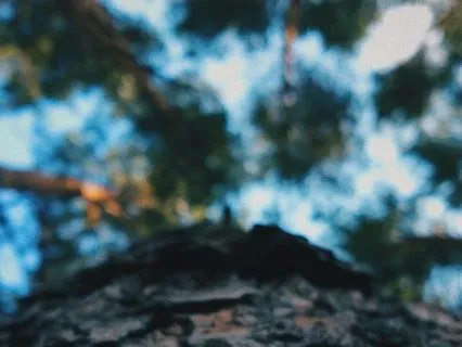 Fyll dig själv med lugn, lätthet och frihet (utan musik)