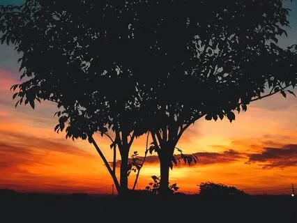 G Tuning Peace – 392 Hz