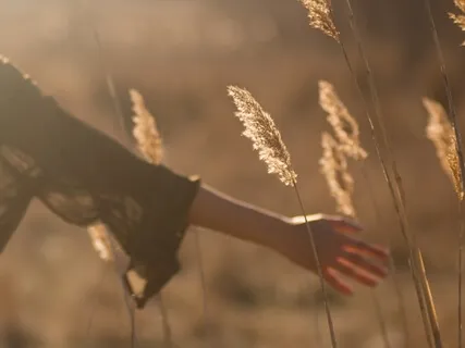 Gående Meditation - Mindful Walk