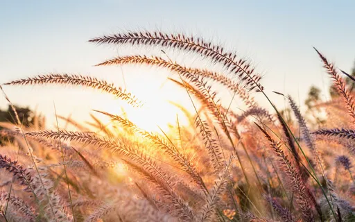 Gående mindfulnessmeditation (och stående)