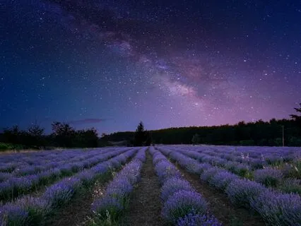 Gaia Healing Earth Frequency 7.83 Hz Schumann Resonance