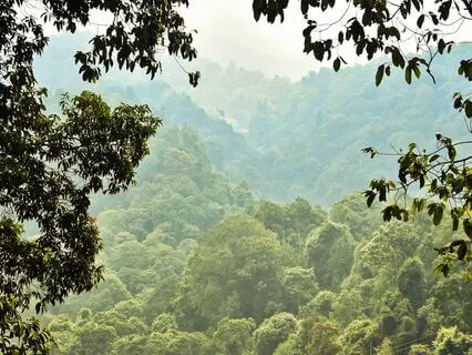 Gaia Alchemy: A Grounding Mantra & Visualization