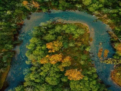 Gaia's Lazy River : Reconnect Daily