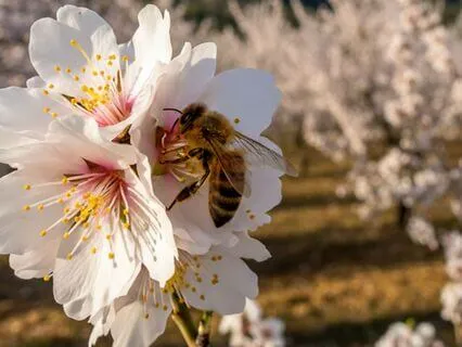 Gain Clarity For Scaling Business