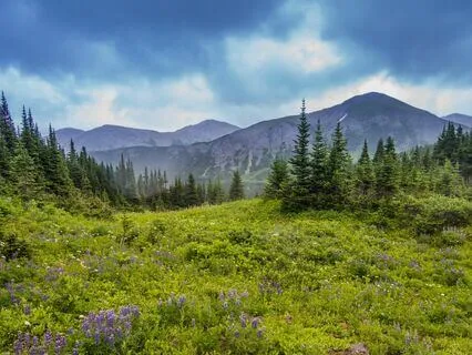 Gain Confidence Expressing Yourself With Chakras & Mantras