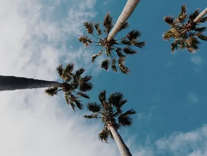 Gain Mental Strength & Courage