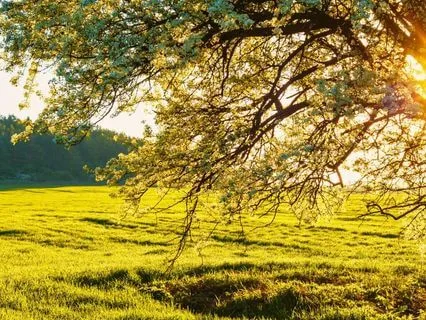 Gain Positive Power - 60 Minutes of Ambient Electronica