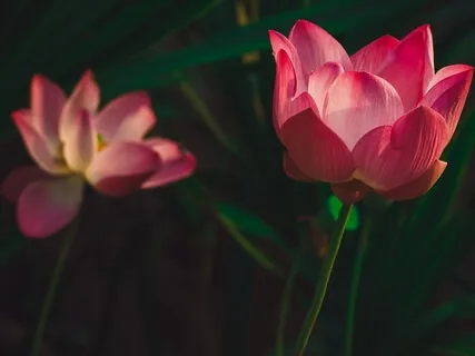 Gaining Trust In You, Yourself, To Be Successful