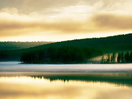 Gamma 50Hz High Mental Activity