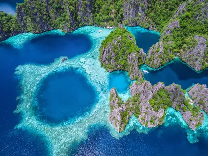 Gamma Relationship Consciousness