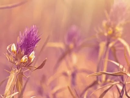 Gamma Waves For Optimism & Stress-Free Energy