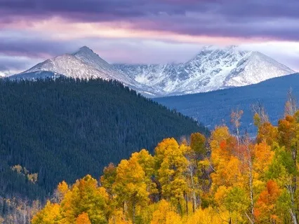 Gandalf: A Sleepy Journey Through Middle Earth