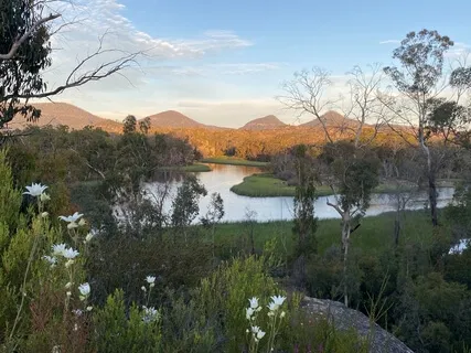 Ganguddy Dawn Chorus (Morning Bird Song)