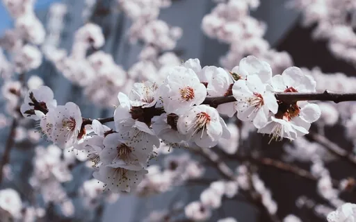 "Garden" 5-Minute Ambient Meditation Music With Rain Sounds