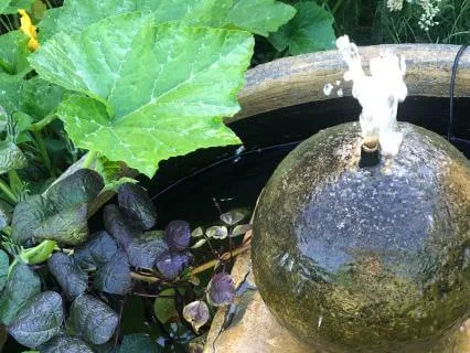 Garden Fountain Guinea Fowl Chants