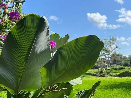 Garden Of Calm: Finding Your Inner Peace