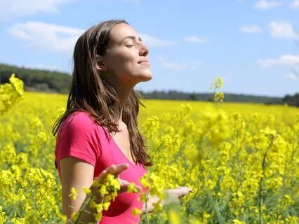 Garden Of Goddess Isis Transmission