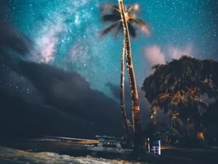 Garden Of Love: Night In Aruba, A Romantic Sleep Story