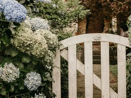 Garden Of The Ancestral Moon