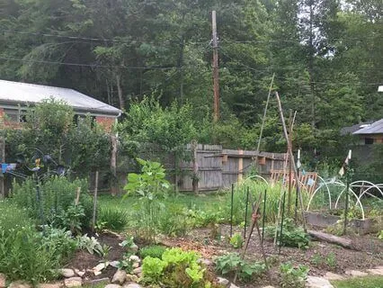 Garden Of Your Dreams: A Visualization