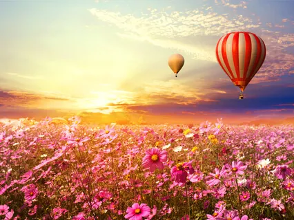 Гармоничная Беременность