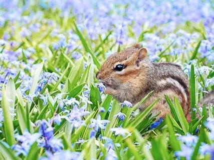 Gaslighting Recovery S.O.S.