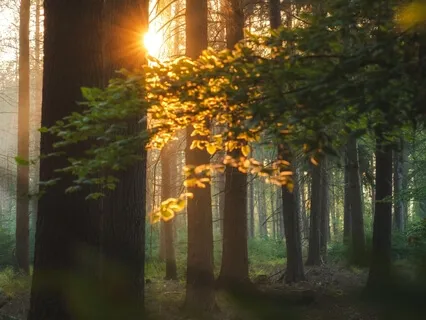 Gate Gate Paragate Parasamgate Bodhi Svaha