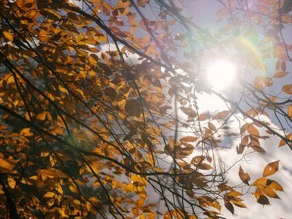 Gate To Oneness | Lambda Isochronic Tones + Epsilon Binaural