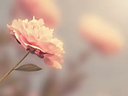 Gateway To Dreams – Music For Deep Subconscious Exploration