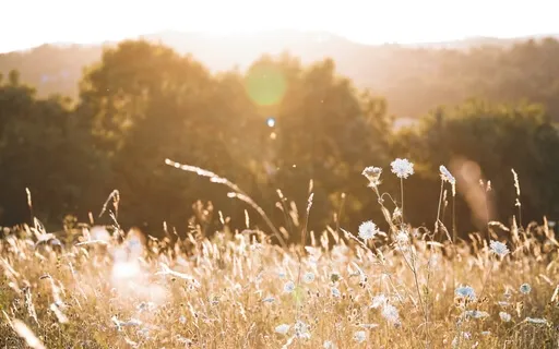 Gateway To Motherhood Meditation