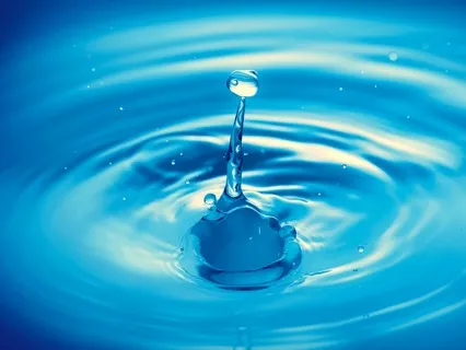 Gateways to the Present Moment