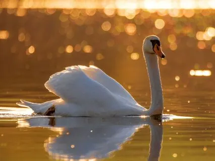 Gather Your Inner Resources | Based On IFS