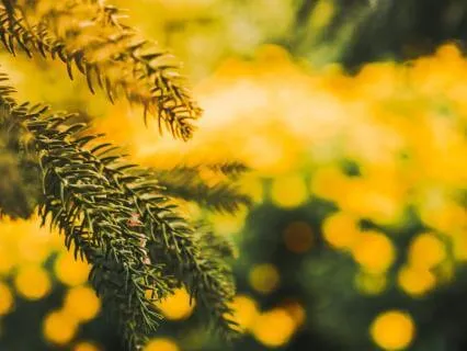 Gather Your Light, Reclaim Your Energy