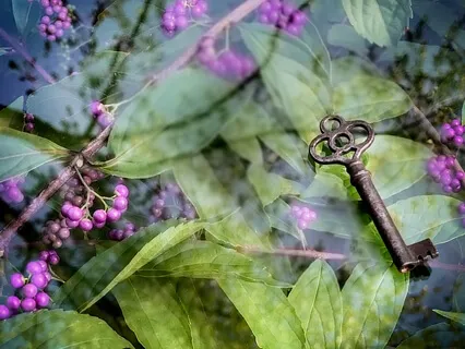 Gathering Treasures - An Adventure Of Discovery