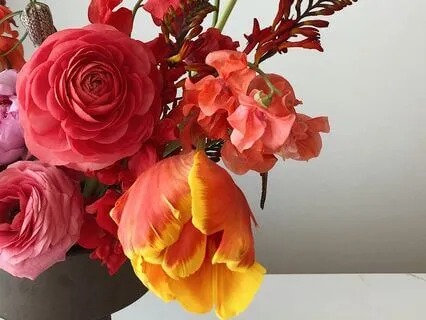 Gathering Your Garden Meditation for Self-Exploration