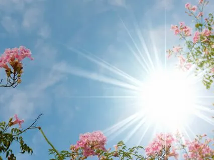 Gāyatrī | A Chant For The Sun's Feminine Form