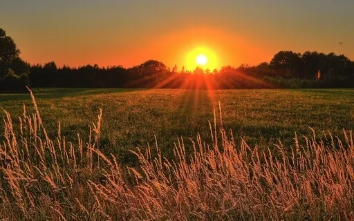 Gayatri Baba (Feat. Madhu Anziani)