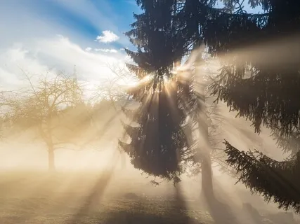 Gayatri Mantra Chant For Divine Connection