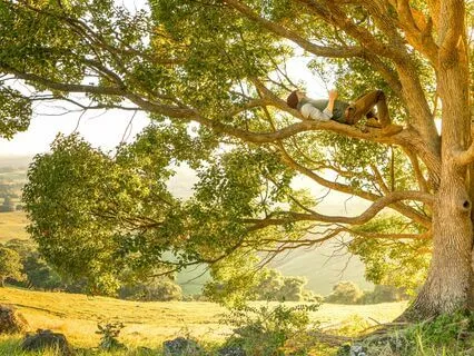 Gayatri Mantra Meditation: Stress Relief, Grounding Practice