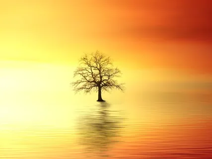 Gayatri Mantra - The Sun Of Illumination