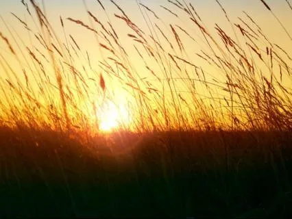 Gayatri Mantra With Healing Singing Bowls (Live Performance)