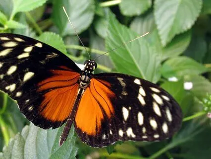 Ge Och Ta Emot Medkänsla