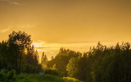 Gemini Full Moon: Goddess Ma’at