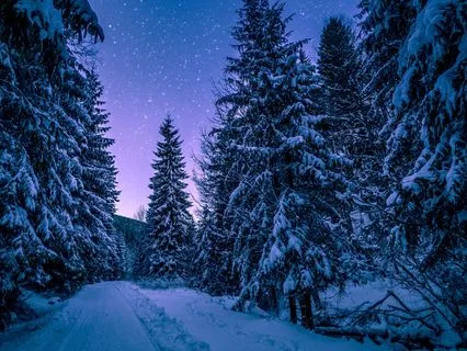 Gene Key Forecast For December