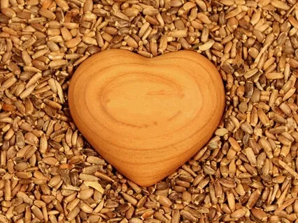 Generate feelings of Loving Kindness