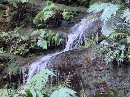 Generating Creative Flow And Removing Obstacles