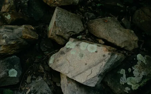 Generating Joy So We Can Hold Our Suffering