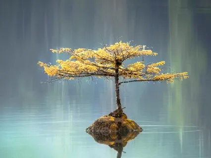 Generating Stability