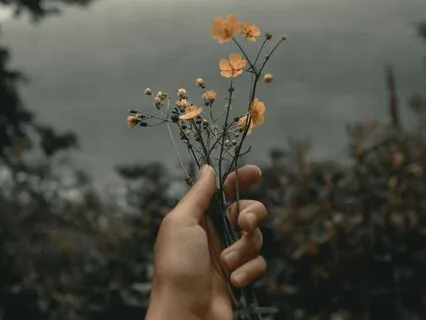 Generosity Affirmations (Without Music)